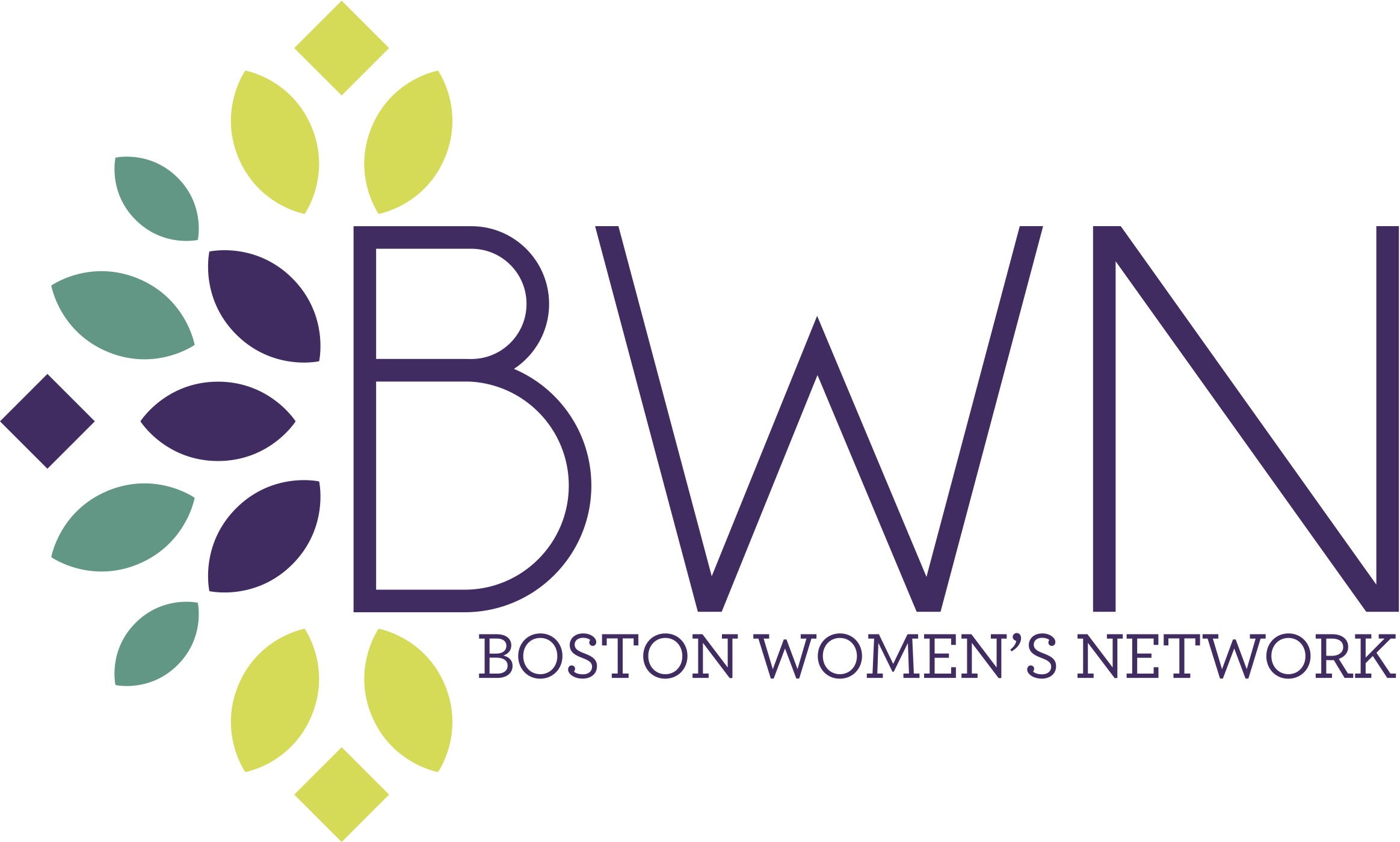 womens network logo